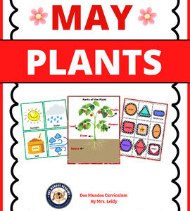 May Lesson THE PLANTS Theme Worksheets Preschool & Daycare